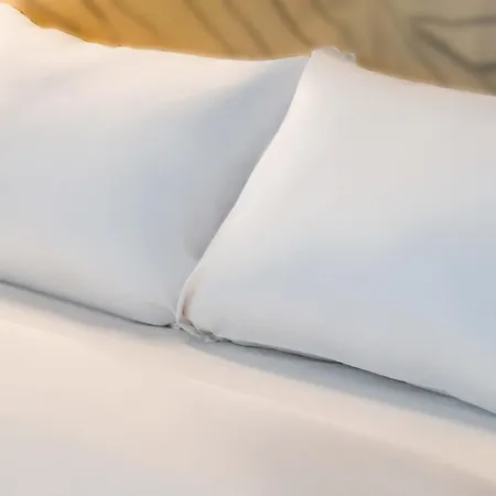Roissy Hotel 3*